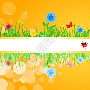 夏天的框架绿草花矢量插图背景图片