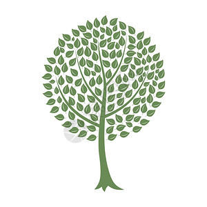 木头树白色背景上的绿树矢量插图图片