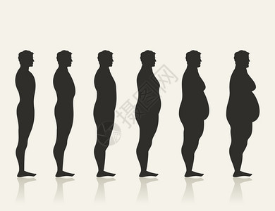 男人的动态肥胖矢量插图图片