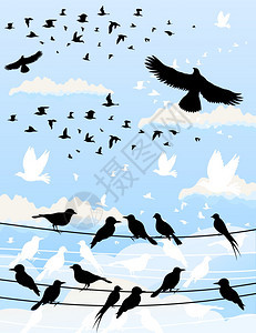 小鸟逆天收集鸟类矢量插图图片