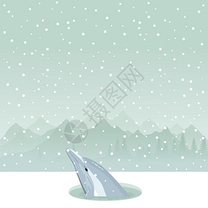海豚冰洞里海豚冰洞里爬上来的矢量插图图片