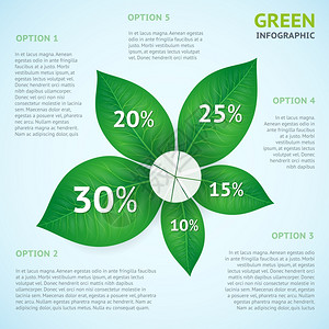 钱植物生态绿色信息海报矢量插图插画