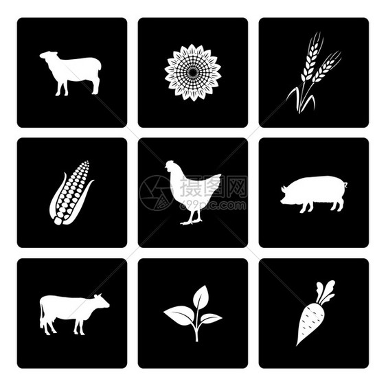 农村图标集牛鸡猪玉米小麦矢量插图图片