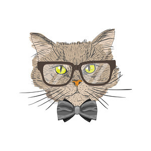 只戴领结眼镜的猫的肖像,带矢量插图图片