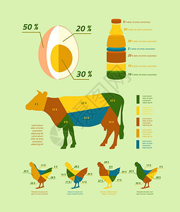 自然农业信息平要素的牲畜鸡矢量插图图片
