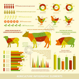 农业信息平要素的牲畜鸡作物矢量插图图片