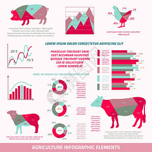 农业信息平要素牲畜鸡牛猪羊图表矢量插图图片