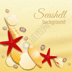 贝壳上的金沙夏季海滩背景矢量插图图片