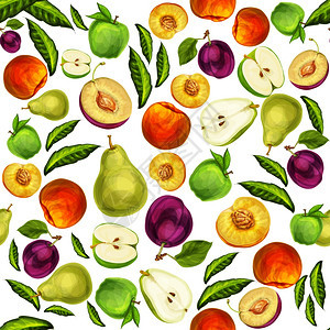 无缝混合成熟多汁切片水果图案背景与苹果梅桃梨手画草图矢量插图图片