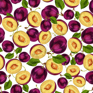无缝李子水果切成两半,种子叶多汁的案手绘草图矢量插图图片