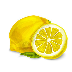 天然机酸切片柠檬片与叶热带水果装饰海报矢量插图图片