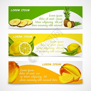 天然机热带水果横幅套切割整个菠萝柠檬芒果模板矢量插图图片