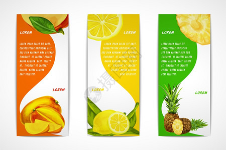 天然机热带水果垂直横幅套芒果柠檬菠萝模板矢量插图背景图片