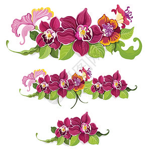 五颜六色的热带夏季花卉花环装饰元素图案背景矢量插图图片