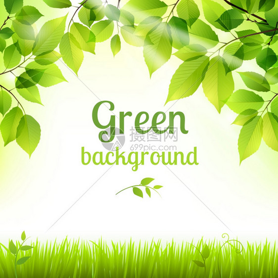 天然绿色鲜春叶草植物叶装饰背景海报打印矢量插图图片
