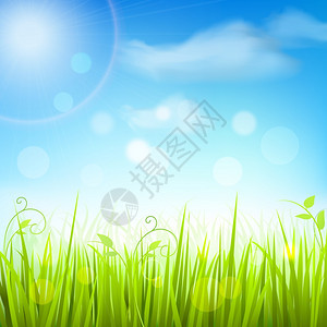 清新的绿春草草地下蓝天装饰背景海报打印矢量插图图片