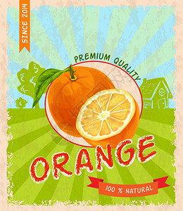 天然新鲜机甜汁橙色优质复古海报矢量插图图片