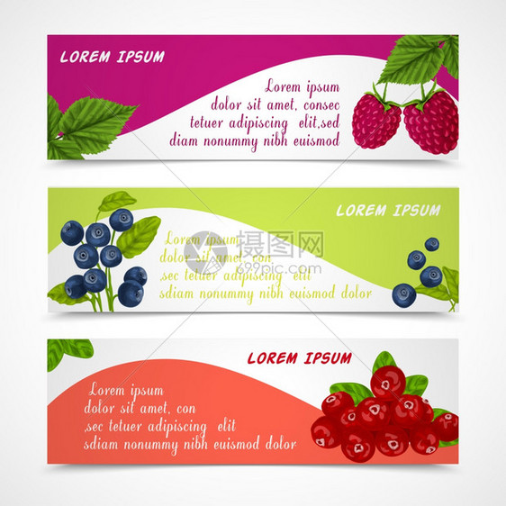 天然机森林浆果横幅套覆盆子蓝莓草莓模板矢量插图图片