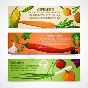 食物蔬菜涂鸦水平横幅套玉米豌豆,胡萝卜,洋葱,土豆矢量插图图片