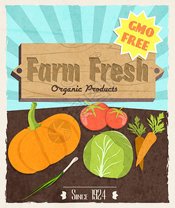 蔬菜食品农场新鲜复古海报基因免费机产品矢量插图图片