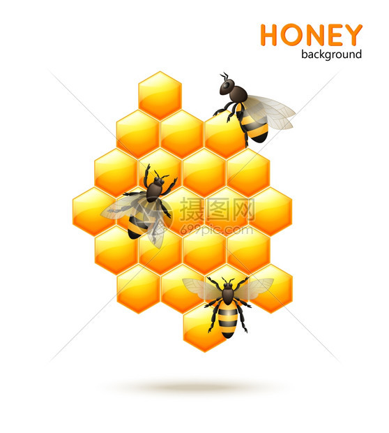 甜蜜梳子与蜜蜂工人背景矢量插图图片
