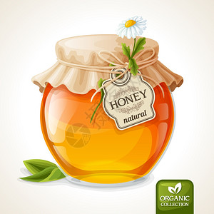 天然甜金机蜂蜜璃瓶与标签纸盖矢量插图图片
