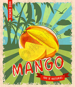 天然新鲜机甜芒果优质复古海报矢量插图图片