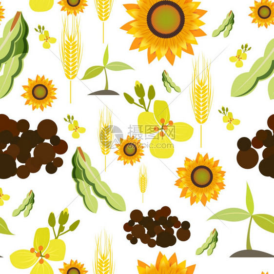农业耕作机食品植物小麦向日葵无缝图案矢量图图片