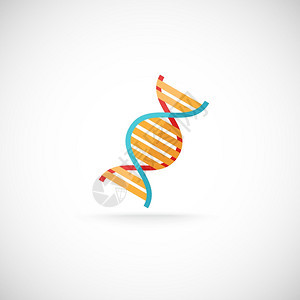 装饰化学生物科学遗传研究DNA分子螺旋结构段符号标志图标打印图片
