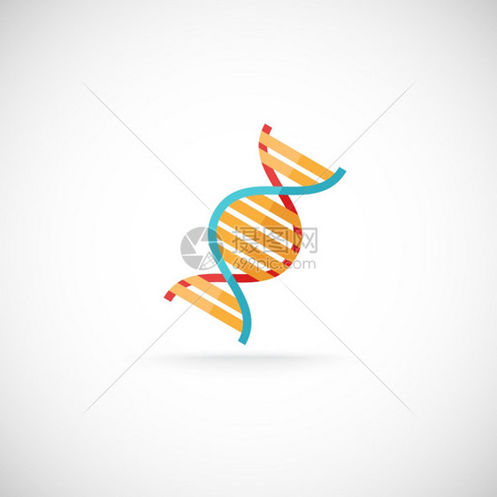 装饰化学生物科学遗传研究DNA分子螺旋结构段符号标志图标打印图片