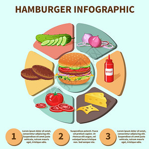 汉堡三明治与肉奶酪,番茄,生菜,包,黄瓜饼,图表,信息矢量图图片