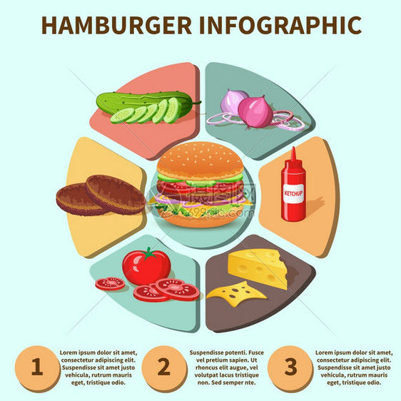 汉堡三明治与肉奶酪,番茄,生菜,包,黄瓜饼,图表,信息矢量图图片