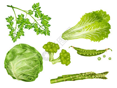 绿色蔬菜机食品与卷心菜欧芹豌豆生菜分离矢量插图背景图片
