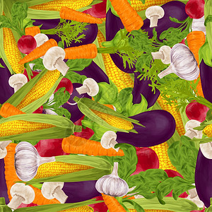蔬菜机食品现实无缝背景与香槟茄子萝卜矢量插图图片