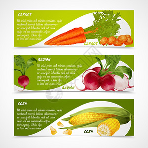 蔬菜机食品现实胡萝卜萝卜玉米水平横幅矢量插图图片
