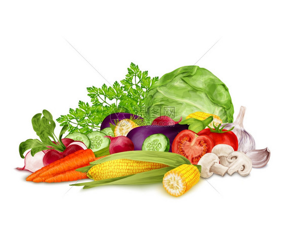 新鲜蔬菜机食品集静生分离白色背景矢量插图图片