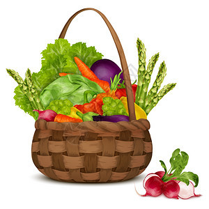 新鲜蔬菜机食品白色背景矢量插图上分离的篮子中存图片