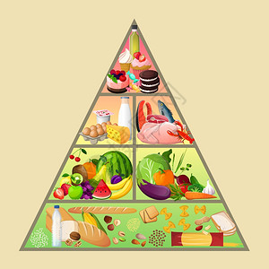 谷类食物金字塔健康饮食营养矢量图插画