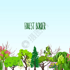 装饰夏春季节森林边界日光落叶灌木针叶树叶抽象素描矢量插图图片