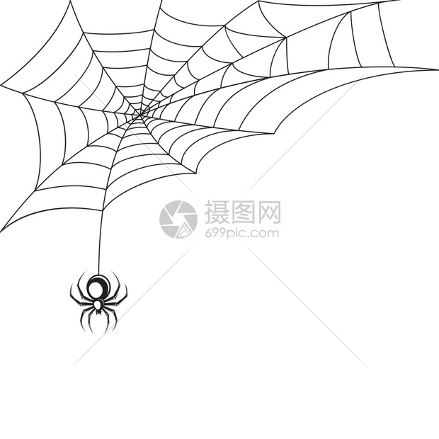 蜘蛛网万节符号壁纸模板矢量插图插画图片下载 正版图片 摄图网 蜘蛛网万节符号壁纸模板矢量插图插画图片下载 正版图片 摄图网