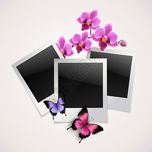 老式即时相机相框与蝴蝶兰花花卉矢量插图图片