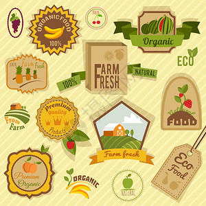 生态农场新鲜机食品水果标签标签矢量插图图片