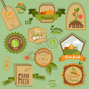 生态农场新鲜机食品蔬菜标签标志矢量插图图片