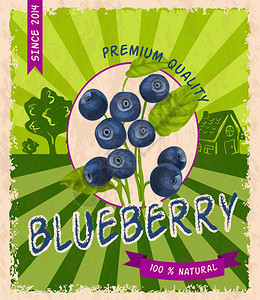 天然新鲜机甜林蓝莓优质复古海报矢量插图图片