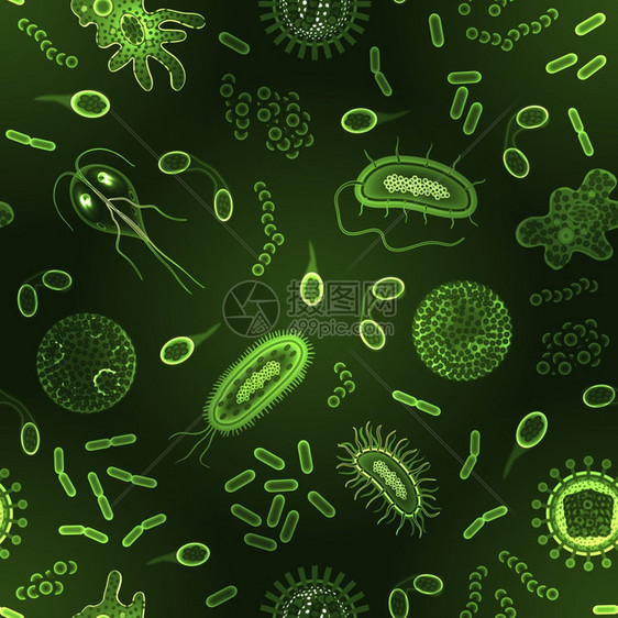 细菌病细菌微生物细胞绿色倒置无缝模式矢量图图片