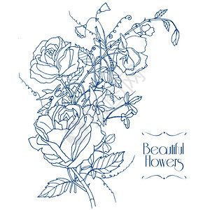 美丽的玫瑰,水彩画甜蜜的香味豌豆小屋花园花新娘卡轮廓草图矢量插图图片