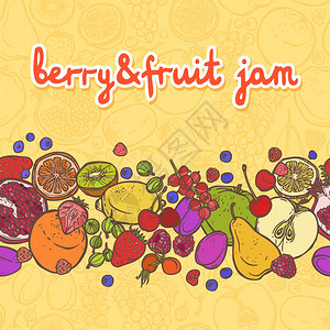 新鲜天然水果浆果食品装饰水平边界矢量插图图片