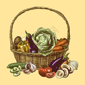 蔬菜篮子天然机新鲜食品颜色草图装饰集矢量插图图片