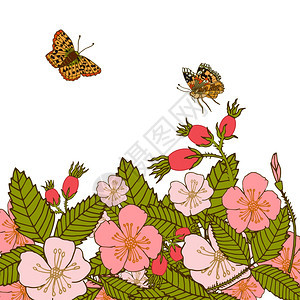 复古浪漫抽象夏季花枝背景与飞行蝴蝶矢量插图图片