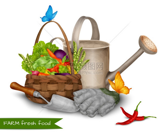 农场新鲜食品与菜篮子水罐花园工具矢量插图图片